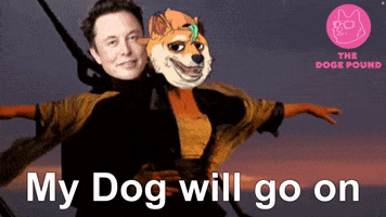 Elon Musk Dog GIF by The Doge Pound 