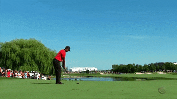 tiger woods win GIF