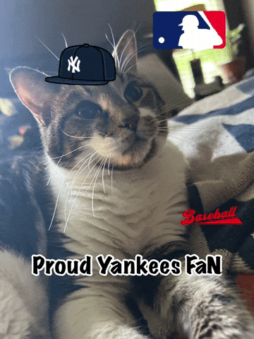 Proud Yankees Fan GIF