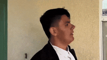 Punch Pikas GIF
