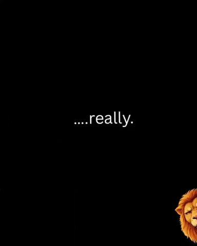Lol Wtf GIF by Rep King