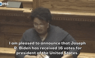 Stacey Abrams GIF by Election 2020