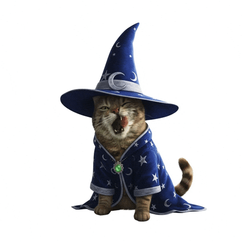 Harry Potter Cat GIF