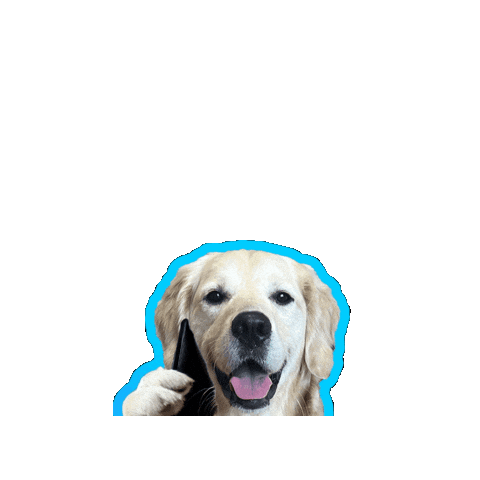 Work Dogs Sticker by Rigatoni