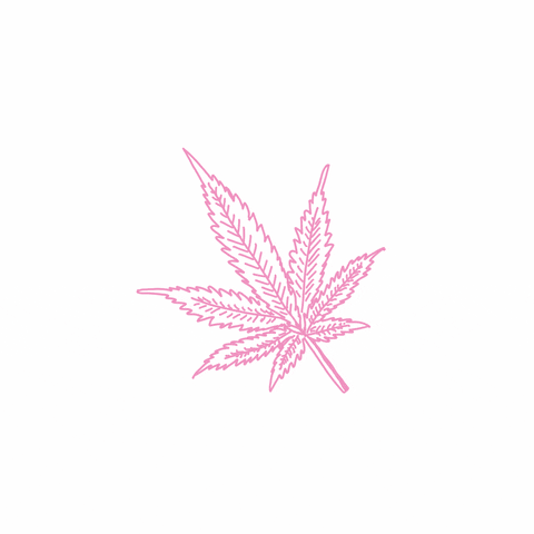 Pot Leaf Cannabis GIF
