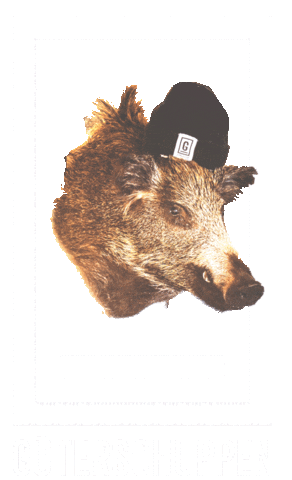 Arosa Sticker by Gueterschuppen