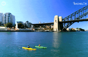 Kayaking Water Sports GIF by The Bachelor Australia