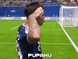World Cup Football GIF