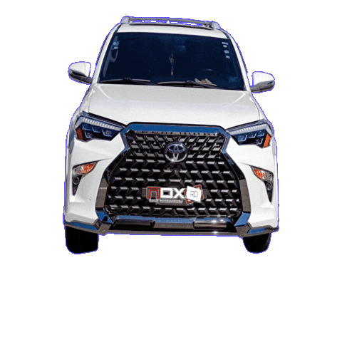 Noxrd4Runner Sticker by NOXRD