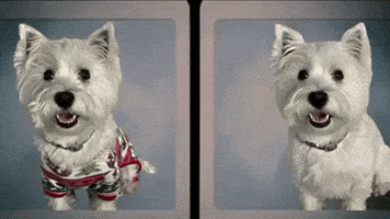 Before And After Mac GIF