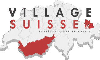 Suisse Neuchatel Sticker by Fête des Vendanges Neuchâtel