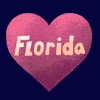 Florida in a heart hurricane milton