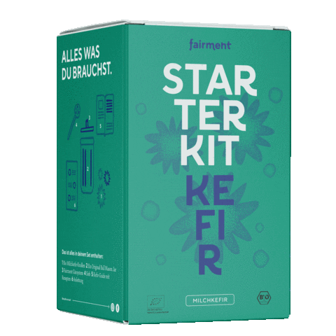 Kombucha Fermentation Sticker by Fairment