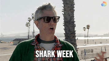 Shark Week Jackass GIF by discovery+
