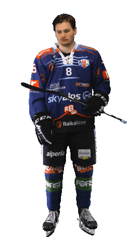 Ice Hockey Sport Sticker by Rittner Buam