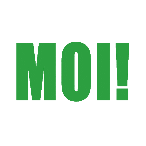 Groningen Moi Sticker by Puutje