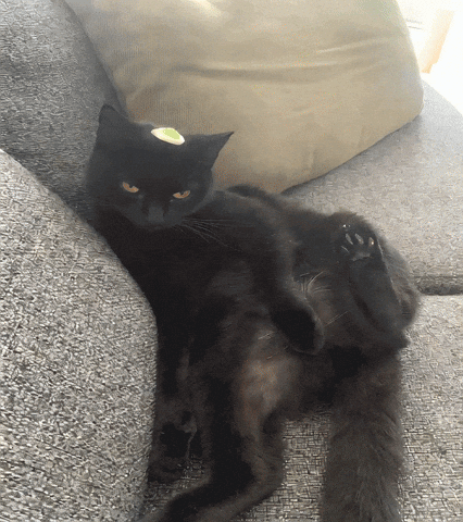 Bodil GIF by Allan SmokeBuddy