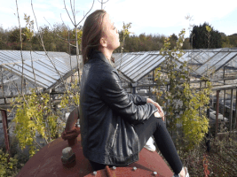 Tilly01  GIF