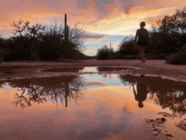 Nature GIF