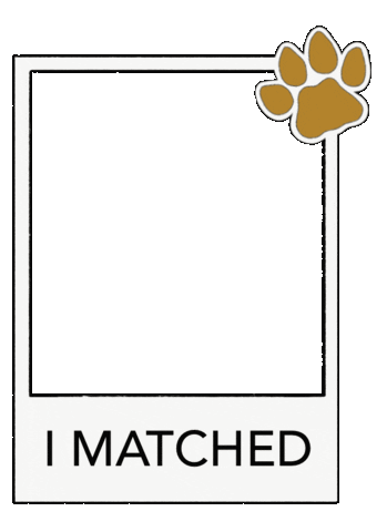 I Matched Fiu Panthers Sticker by Florida International University
