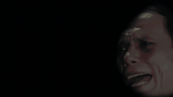 Bear GIF