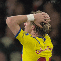 Gutting Premier League GIF by CPFC