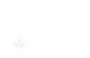 Richplant Sticker