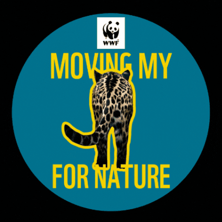 Team Panda 20Km GIF by WWF-Belgium