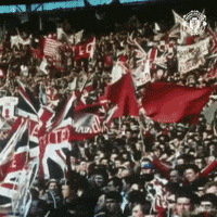 Champions League Sport GIF by Manchester United