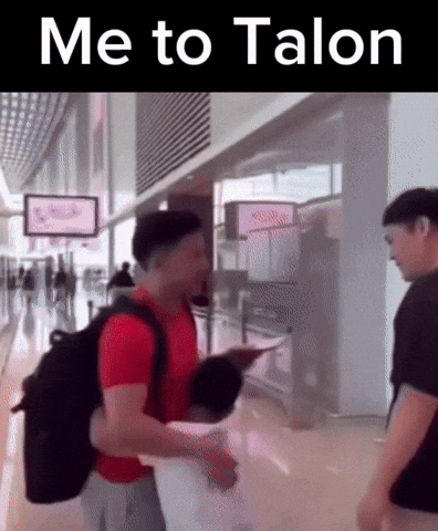 Oc Talon GIF