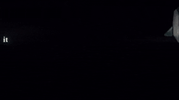 Attack On Titan GIF