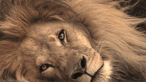 [Image: source.gif]