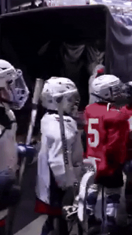 Washington Capitals Hockey GIF