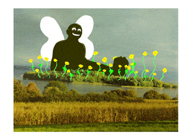 Butterfly GIF