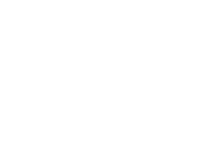 Truth Meaning Sticker by The Autumn Dog