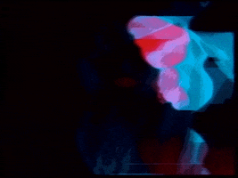 Video Art GIF by cskonopka