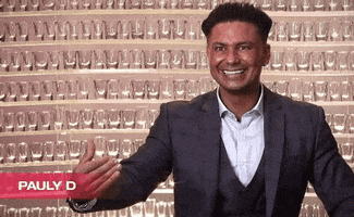 pauly d GIF by A Double Shot At Love With DJ Pauly D and Vinny