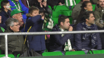 Real Betis Var GIF by Real Betis Balompié