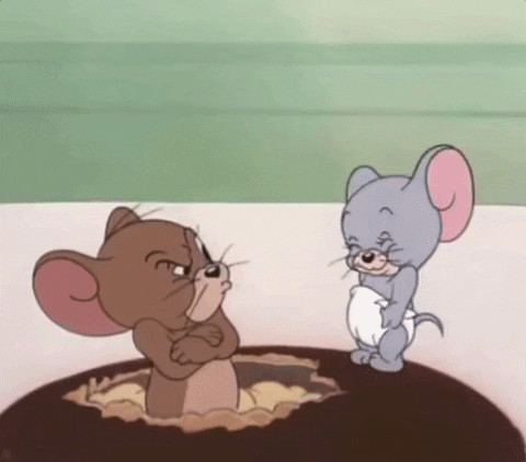 Tom And Jerry Nibbles Gif By Moodman Find Share On Giphy