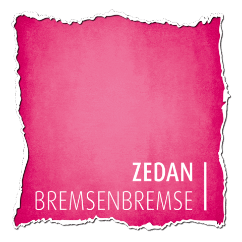 Reingeguckt Reingeschaut Sticker by ZEDAN