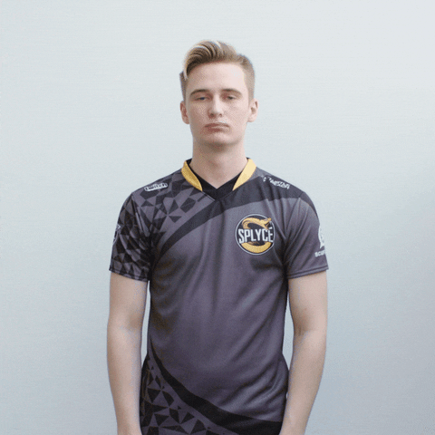 leagueoflegends GIF by Splyce
