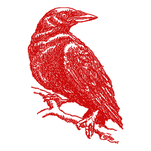 Bird Raven Sticker by Henry Morris