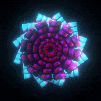 pink colors GIF by xponentialdesign