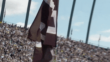 Football Reaction GIF by Purdue Sports