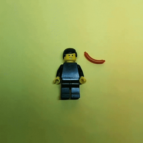 Hot Dog Lego GIF