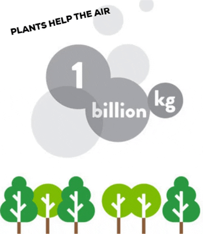 YearofPlantHealth2020 GIF