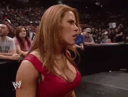 Mickie James Wwe GIF