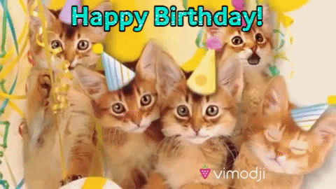 Happy Birthday GIF by Vimodji - Find & Share on GIPHY