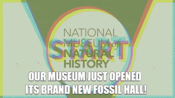 fossil dr sues GIF by Smithsonian National Museum of Natural History