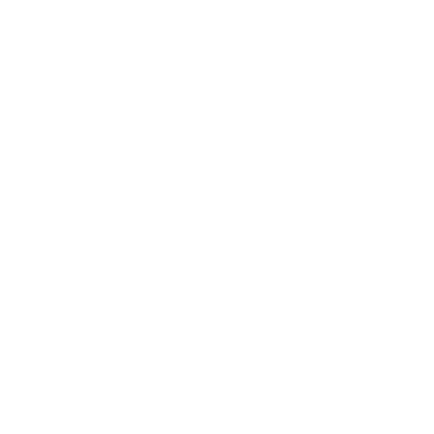 La Ragazza Con Gli Anelli (Anelli.it) Sticker